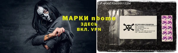 ПСИЛОЦИБИНОВЫЕ ГРИБЫ Богданович