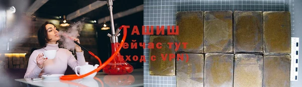 спиды Богородицк