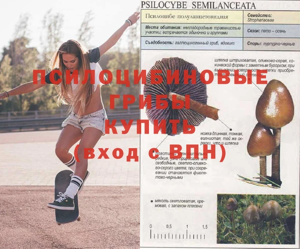 спиды Богородицк