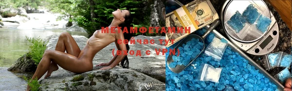 ПСИЛОЦИБИНОВЫЕ ГРИБЫ Богданович